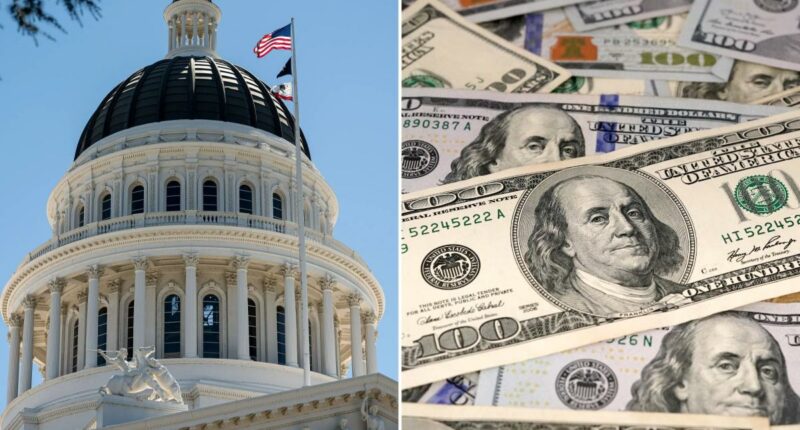 Critics say Californiaâs one-party rule is âcrushingâ families